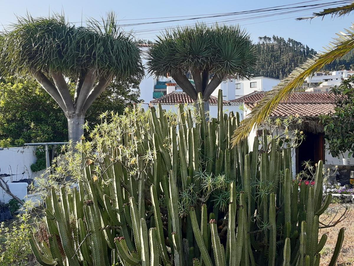 Casa Rural Los Dragos Fuencaliente de la Palma Dış mekan fotoğraf